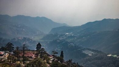 Luxury Travel Packages: Explore The Epitome Of Luxury Travel With Exclusive Experiences